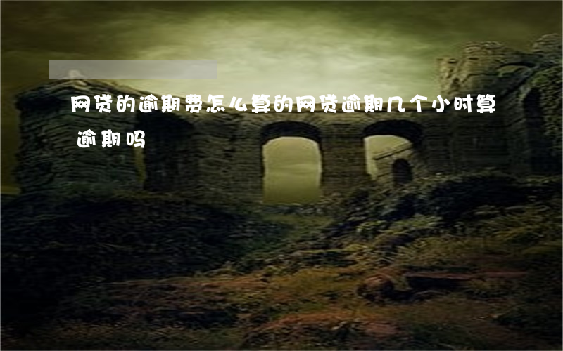 网贷的逾期费怎么算的(网贷逾期几个小时算逾期吗)