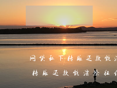 网贷私下转账还款能消除征信吗-网贷私下转账还款能消除征信吗有影响吗