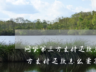 网贷第三方支付还款怎么要签约-网贷第三方支付还款怎么要签约协议
