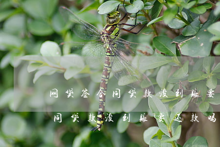 网贷签合同贷款没到账要还款吗-网贷签合同贷款没到账要还款吗怎么办
