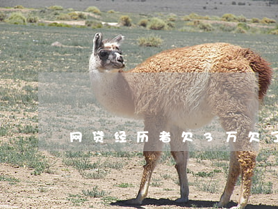 网贷经历者欠3万(欠了网贷两三万)