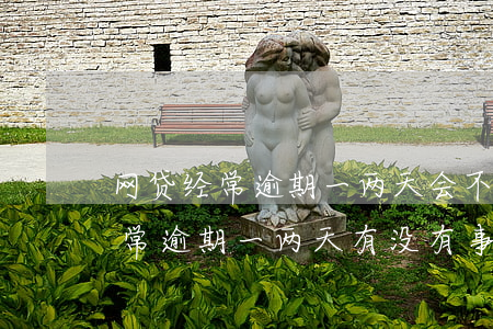 网贷经常逾期一两天会不会征信黑-网贷经常逾期一两天有没有事