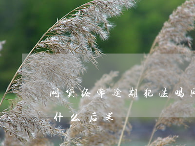 网贷经常逾期犯法吗(网贷逾期长期不还会有什么后果)
