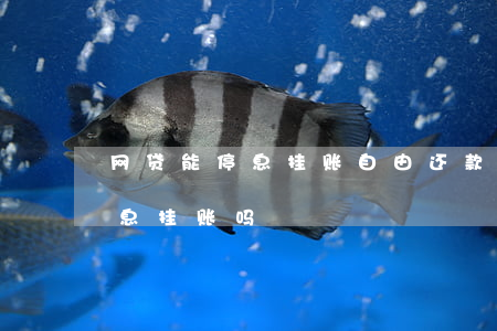 网贷能停息挂账自由还款吗(网贷可以申请停息挂账吗?)