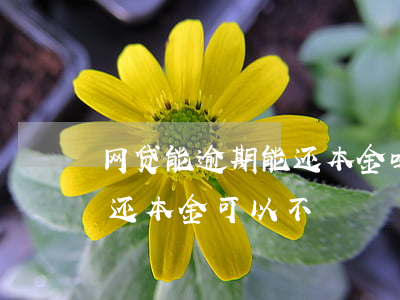 网贷能逾期能还本金吗?(网贷逾期几年了协商还本金可以不)
