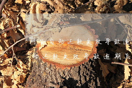 网贷自动还款失败导致逾期怎么办-网贷自动还款失败导致逾期怎么办呢