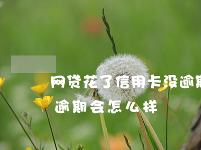 网贷花了信用卡没逾期-网贷花了信用卡没逾期会怎么样