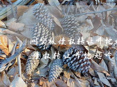 网贷被债权转让异地起诉了怎么办-网贷被债权转让异地起诉了怎么办理