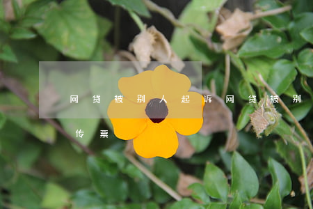 网贷被别人起诉(网贷被别人起诉了没有收到传票)