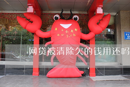 网贷被清除欠的钱用还吗