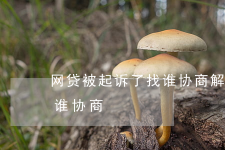 网贷被起诉了找谁协商解决（网贷被起诉了找谁协商）