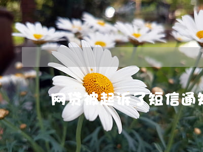 网贷被起诉了短信通知(网贷短信说被起诉)