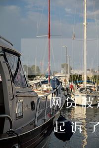 网贷被起诉会承担起诉费吗（网贷8000被起诉了）