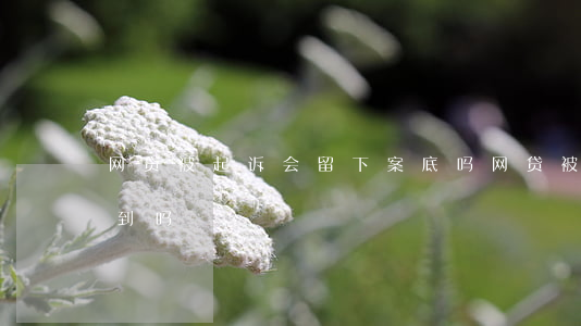 网贷被起诉会留下案底吗（网贷被起诉能查得到吗）