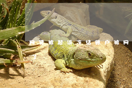网贷被起诉冻结账户(被网贷起诉了冻结财产了)