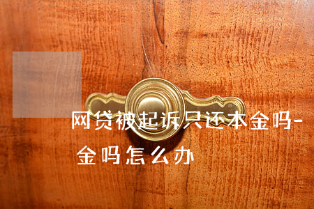 网贷被起诉只还本金吗-网贷被起诉只还本金吗怎么办