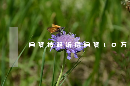 网贷被起诉后（网贷10万被起诉了）