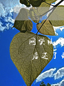 网贷被起诉后还清还要去开庭吗（网贷被起诉后还了钱还）