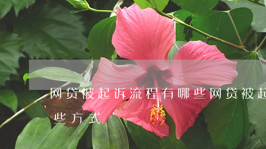 网贷被起诉流程有哪些(网贷被起诉流程有哪些方式)