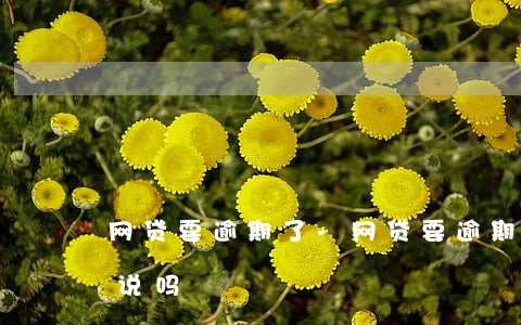 网贷要逾期了-网贷要逾期了要提前跟平台说吗