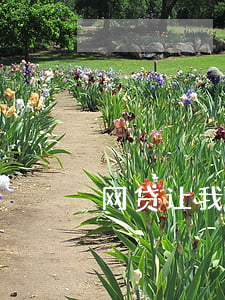 网贷让我交解冻金还要继续还款-