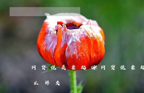 网贷说是要起诉(网贷说要起诉我,法院程序怎么样走)