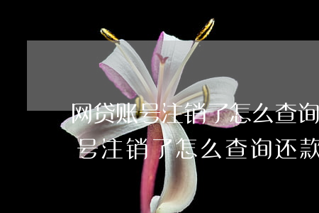 网贷账号注销了怎么查询还款记录-网贷账号注销了怎么查询还款记录呢