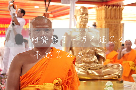 网贷贷了一万不还怎么办(网贷欠了一万多还不起怎么办)