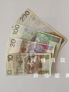 网贷贷款太多但是没逾期(网贷多但没有逾期 房贷能通过吗)