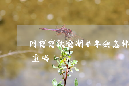 网贷贷款逾期半年会怎样(网贷逾期几个月严重吗)