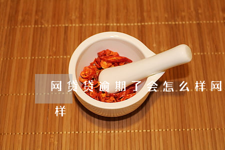 网贷贷逾期了会怎么样(网贷贷逾期了会怎么样)