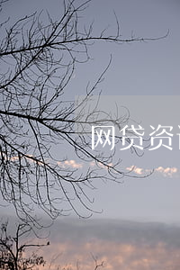 网贷资讯律师(网贷资讯律师)