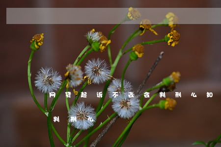 网贷起诉不去会判刑么知乎（网贷起诉不去会判刑么）