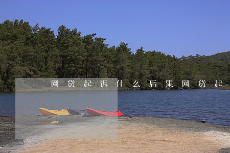 网贷起诉什么后果（网贷起诉的程序）