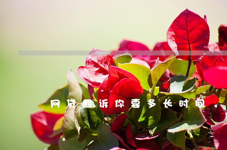 网贷起诉你要多长时间
