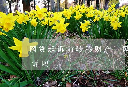 网贷起诉前转移财产-网贷转移债权可以起诉吗