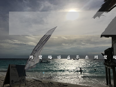 网贷起诉后不去(网贷起诉不去还有二审?)