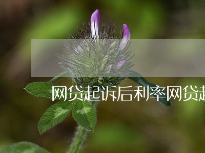 网贷起诉后利率(网贷起诉后利息还涨吗)