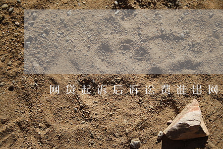 网贷起诉后诉讼费谁出 网贷起诉的费用谁出