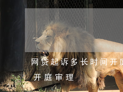 网贷起诉多长时间开庭-网贷起诉多长时间开庭审理