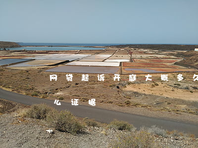 网贷起诉开庭大概多久-网贷起诉开庭拿什么证据