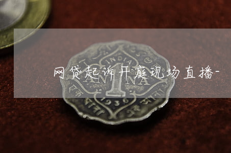 网贷起诉开庭现场直播-网贷开庭视频