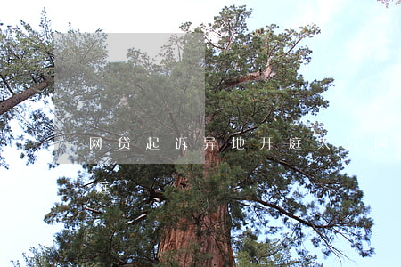 网贷起诉异地开庭太远(网贷异地起诉怎么出庭)