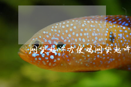 网贷起诉方便吗(网贷起诉最坏的结果)