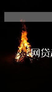 网贷起诉无效案例(网贷起诉案列)