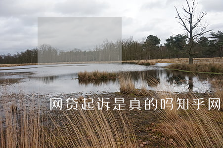 网贷起诉是真的吗知乎 网贷起诉是真的吗?
