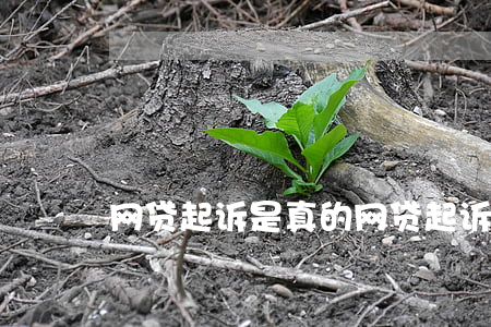 网贷起诉是真的(网贷起诉最坏的结果)