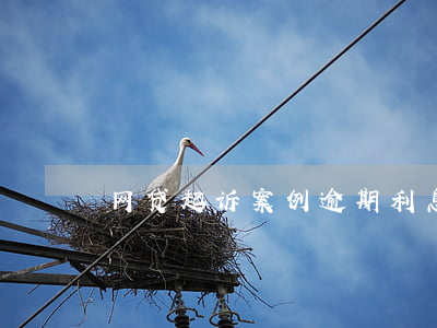 网贷起诉案例 逾期利息（网贷起诉案例6）