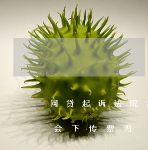 网贷起诉法院会信息通知吗(网贷起诉后法院会下传票吗)