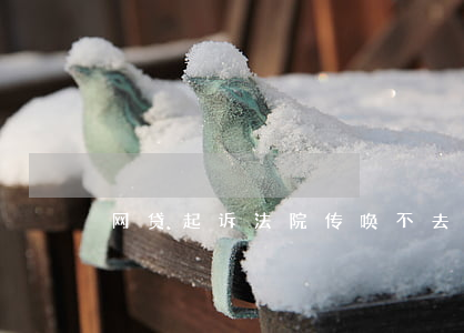 网贷起诉法院传唤不去(网贷起诉没收到传票)